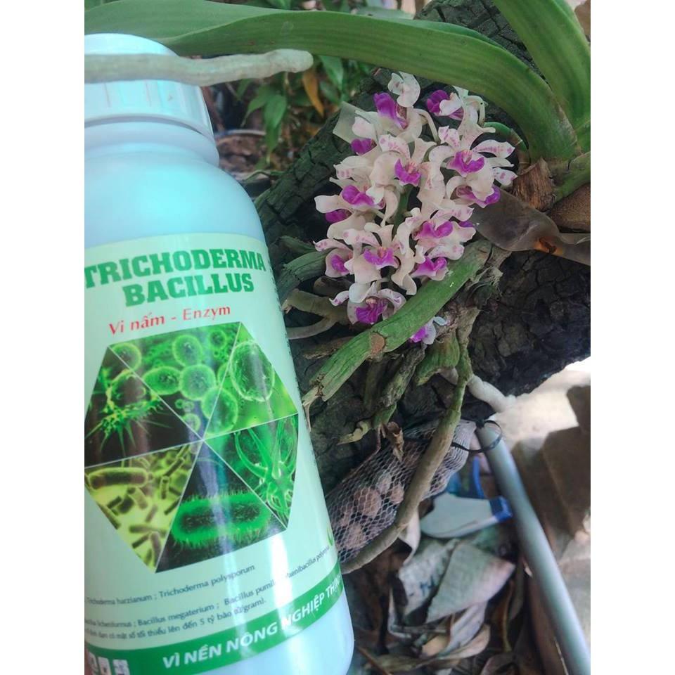 NẤM ĐỐI KHÁNG TRICHODERMA BACILLUS HLC CHAI 250ML - Ủ PHÂN CHUỒNG, TƯỚI CÂY, ĐỐI KHÁNG NẤM BỆNH, CẢI TẠO ĐẤT