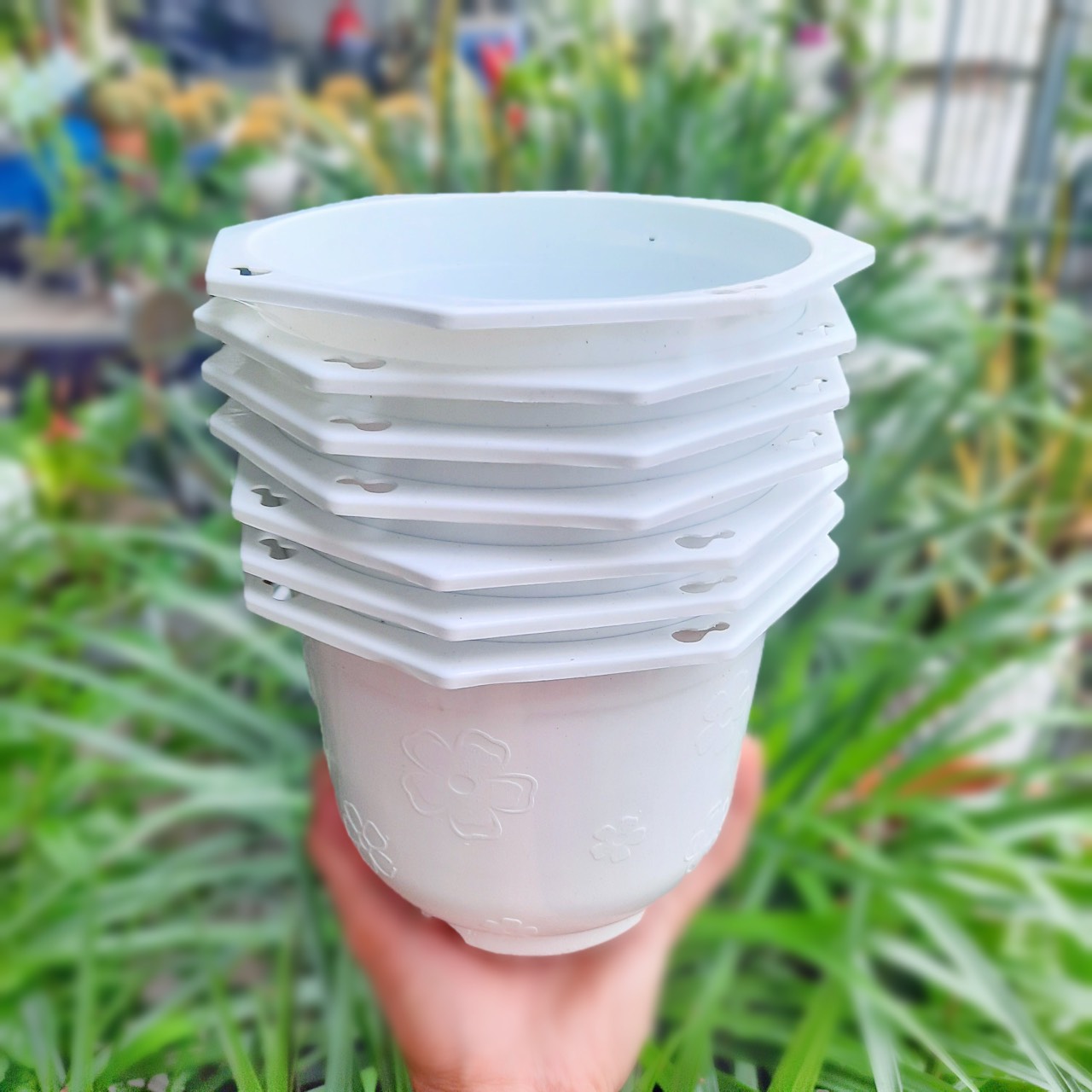 Chậu Nhựa TREO 2 size xinh xắn
