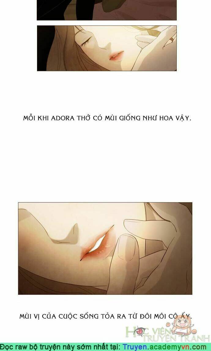 rừng đông ss2 chapter 19 5