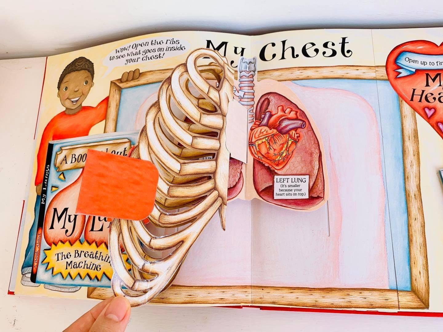 My Pop-Up Body Book