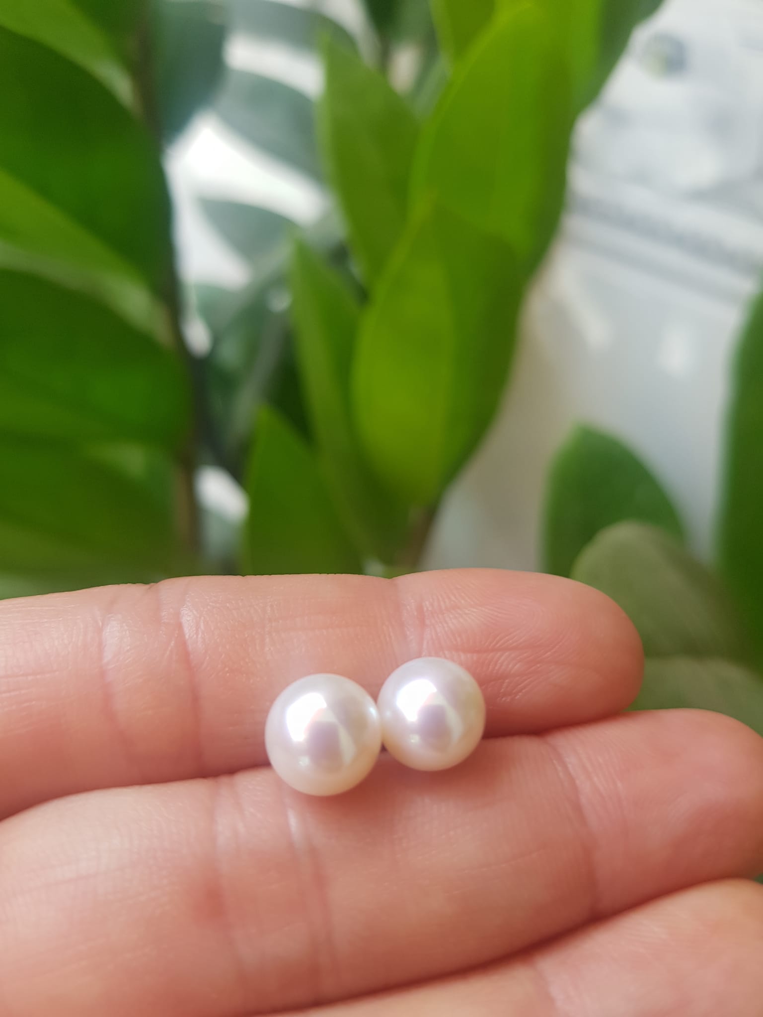 Đôi Bông Ngọc Trai Cao Cấp Bóng Đẹp  Cặp Bông tai màu Trắng Bóng size 8mm vừa đẹp  Nữ Bọc Vàng đeo lên tay vừa đẹp vừa sang ạ
