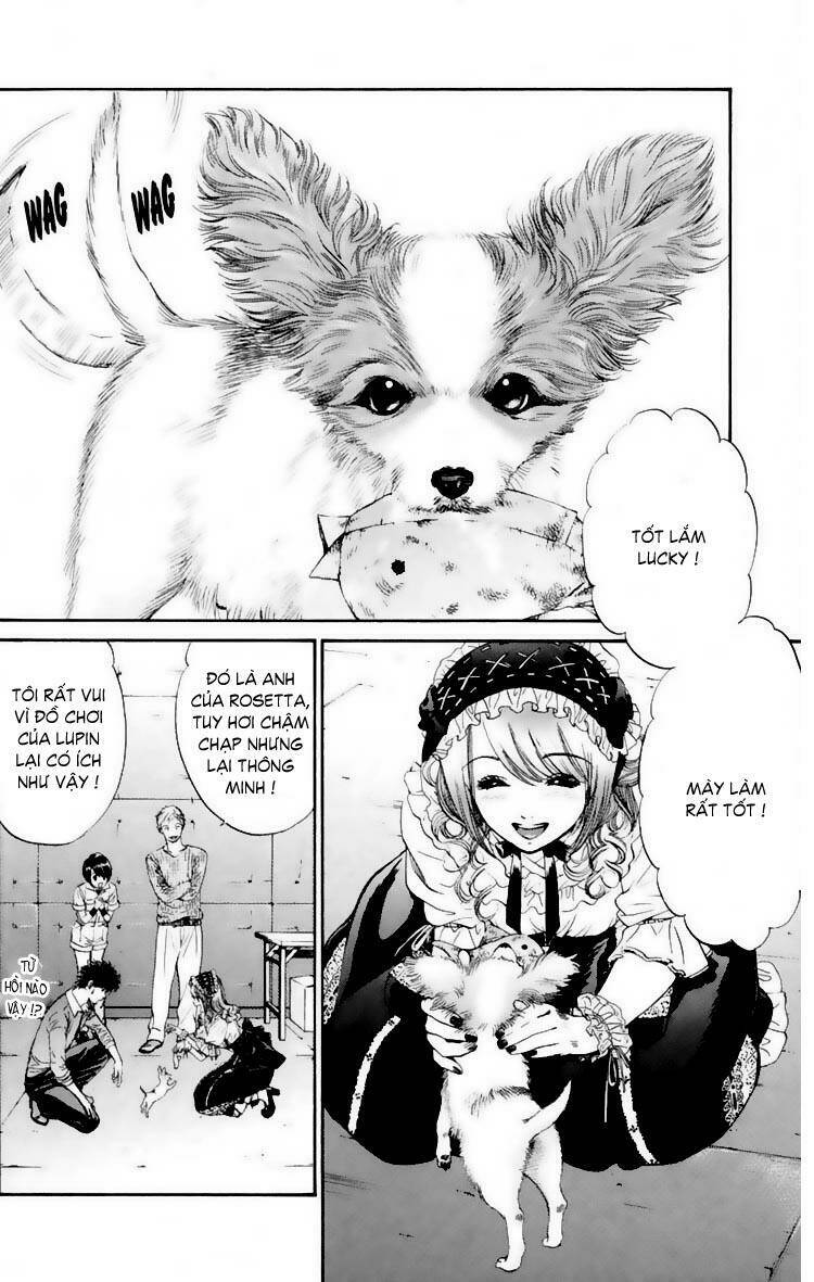 cô nàng yêu chó chapter 15 2