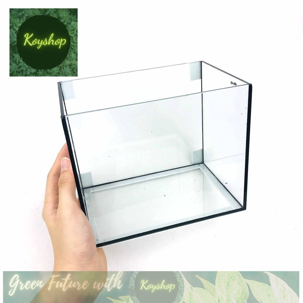) Bể cá mini BỂ CÁ BETTA Hồ Cá Vuông Để Bàn HV 18x12x15 - bảo hành bễ vỡ khi vận chuyển