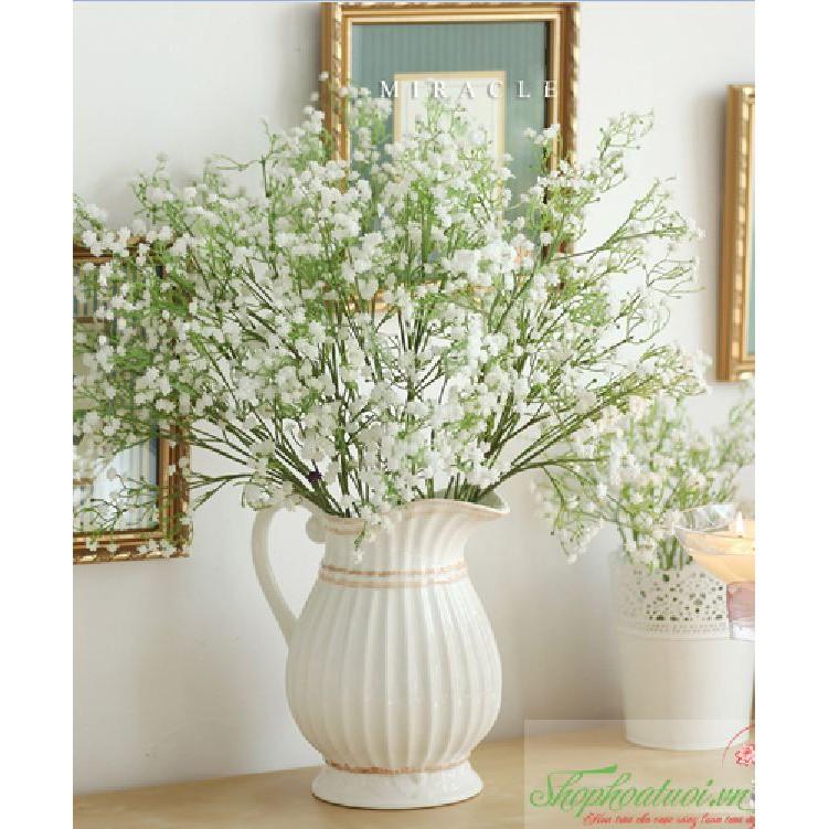 Hạt giống hoa baby trắng - 100hạt/gói