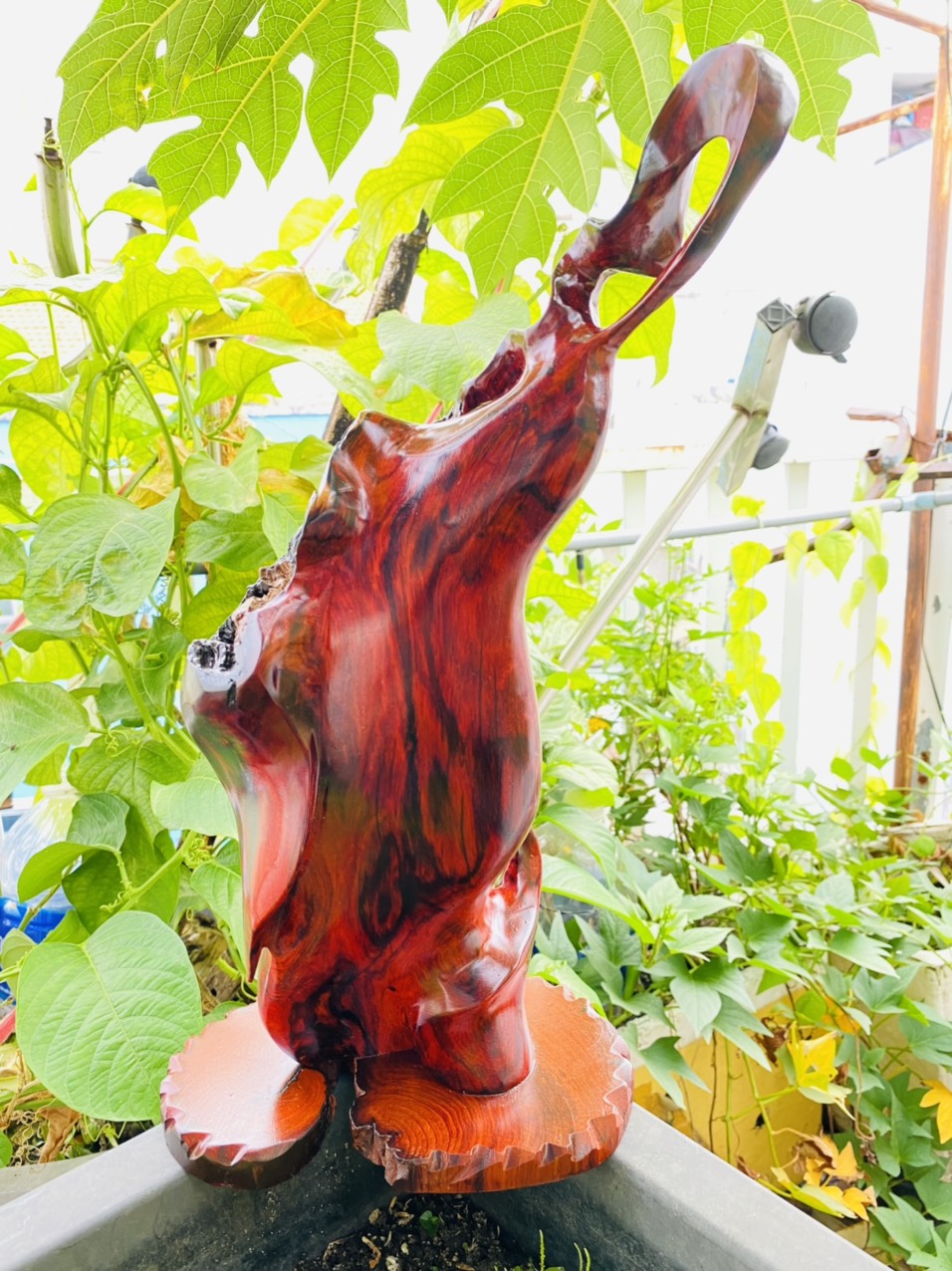 Bình phay gỗ trắc nghệ thuật