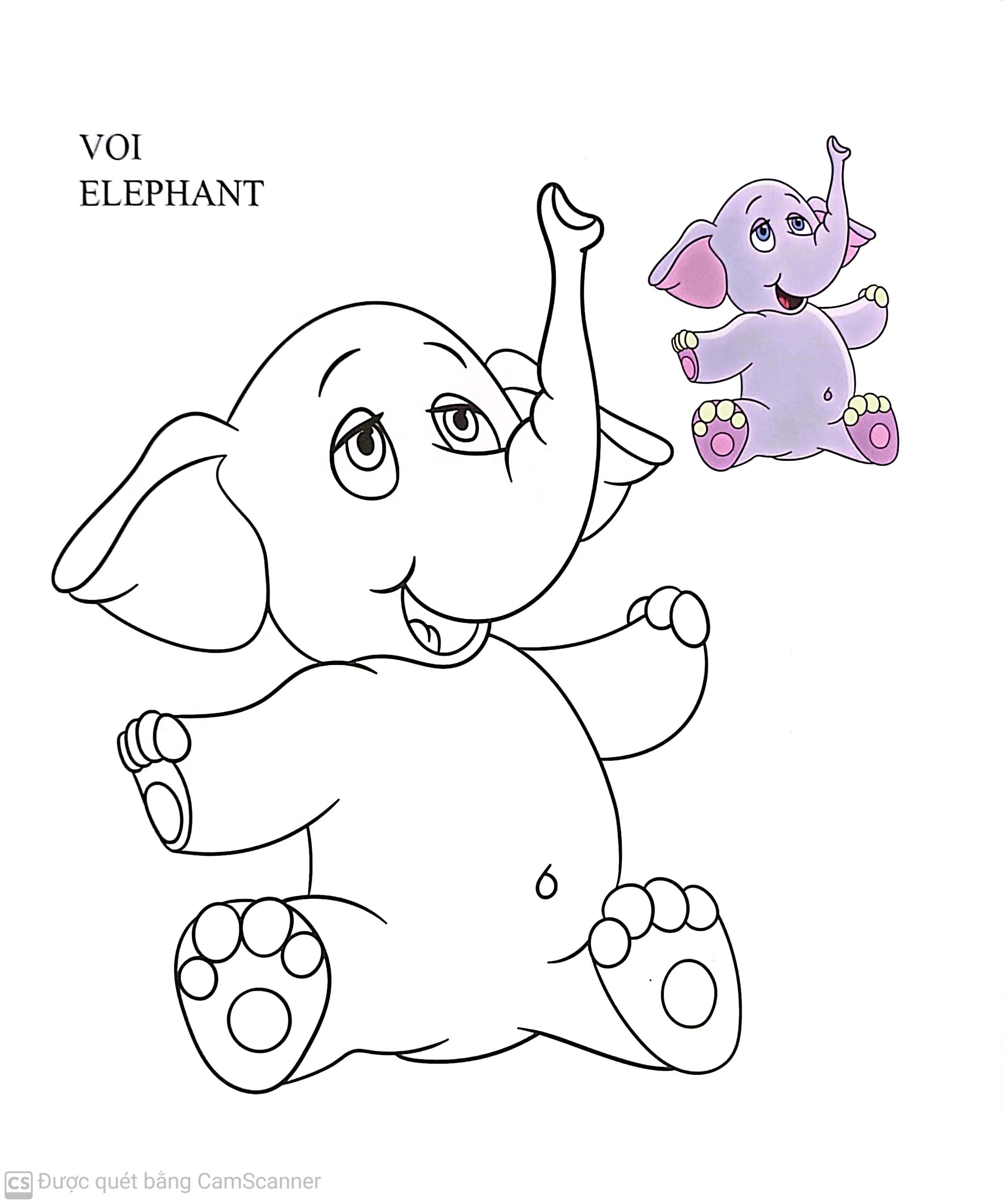 Họa Sĩ Nhí Tô Màu: Loài Vật (2)