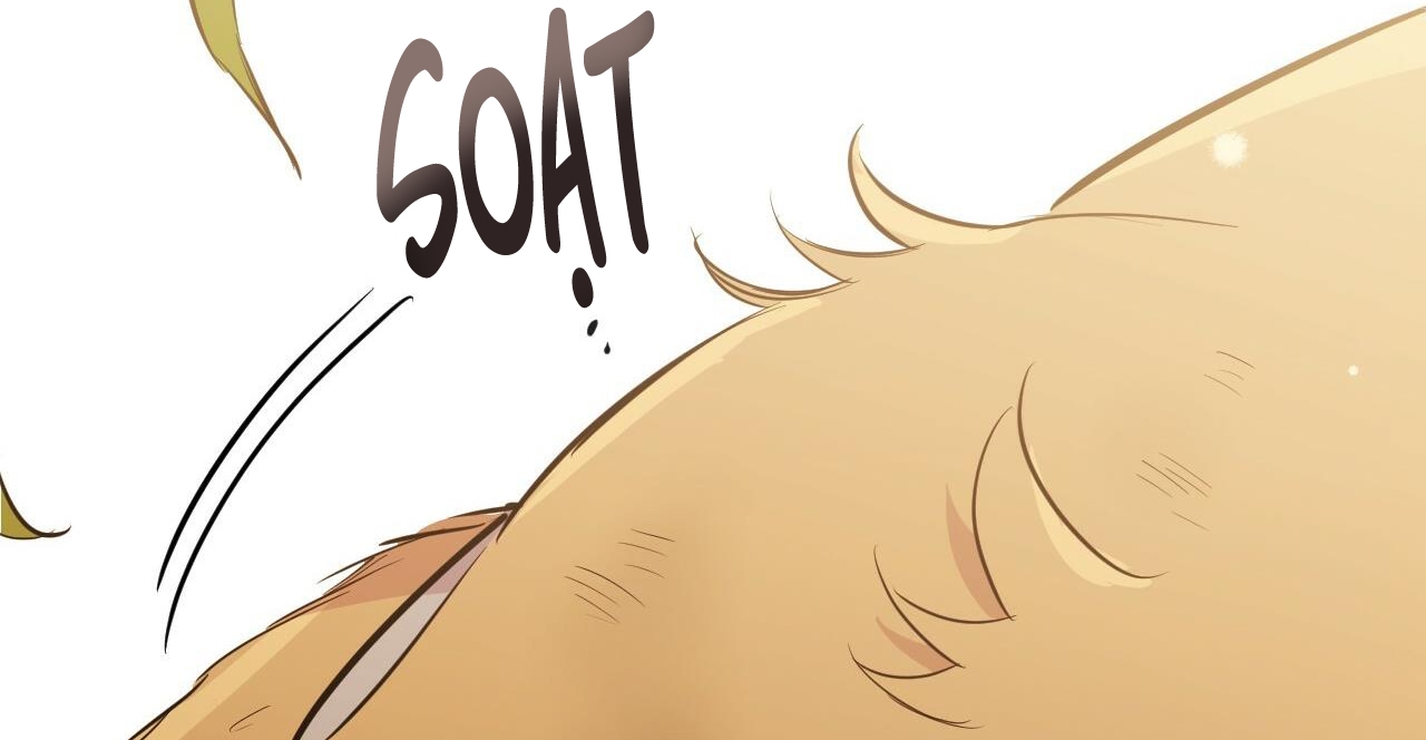 đàn thỏ của habibi chapter 49 291