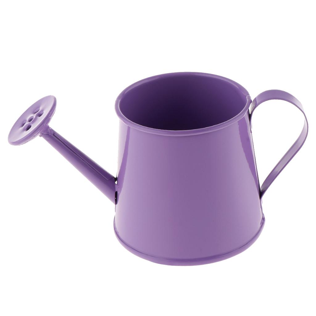 3x Pastoral Style Flower Watering Can Water Pot Sprayer Kettle for Small Plants