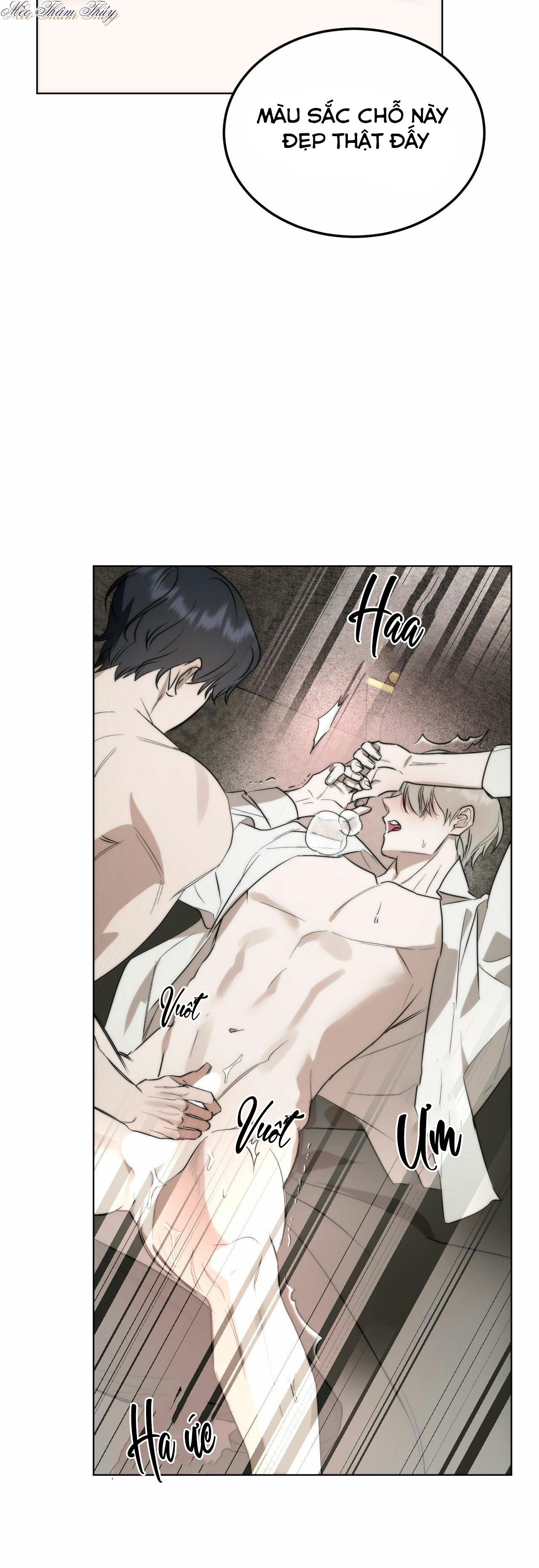 tinh chất quý chapter 3 3