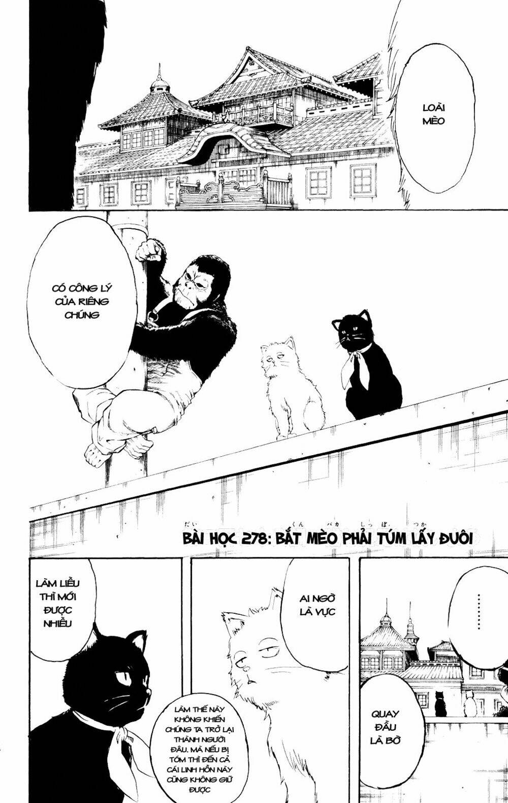 gintama - linh hồn bạc chapter 278 5