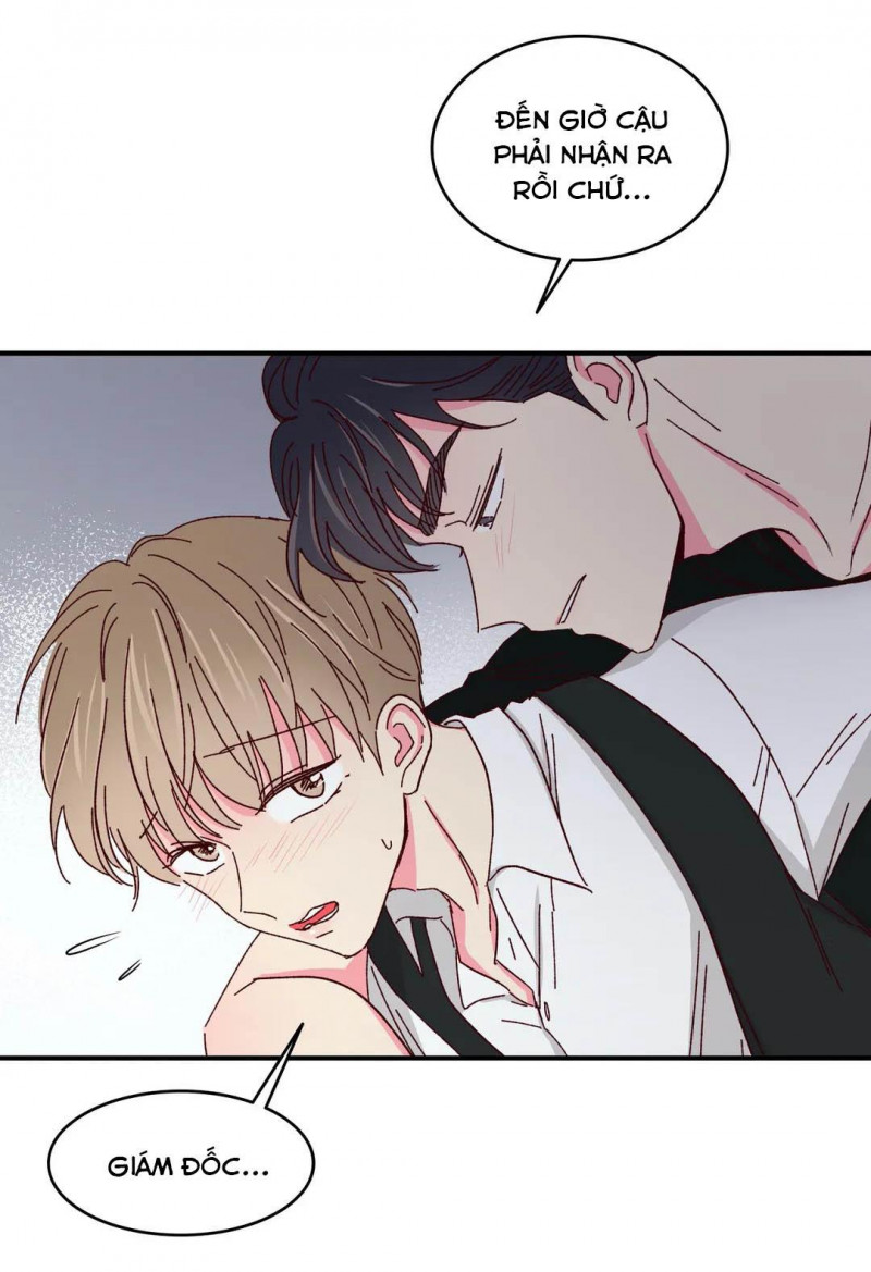 món tráng miệng của sếp tổng chapter 46 43