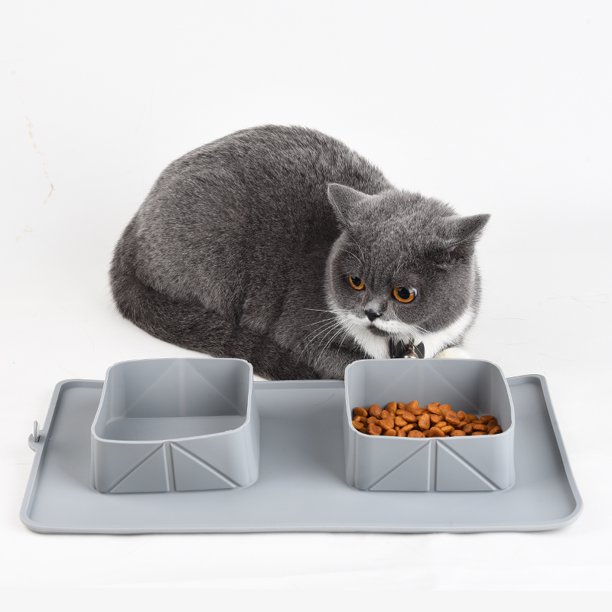 Bát thú cưng di động Portable Pet Bowl