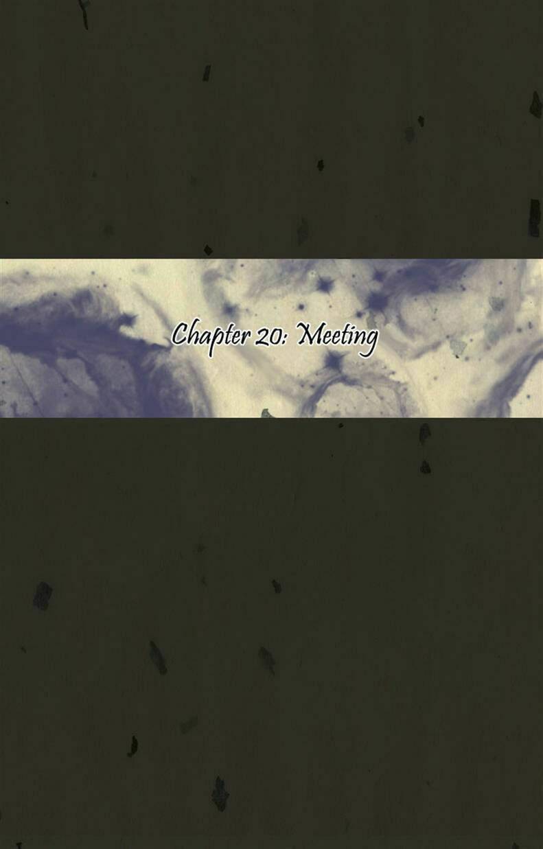 in full bloom chapter 20 6