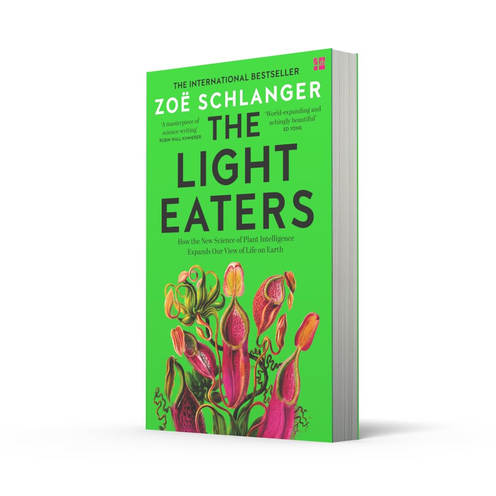 Sách văn học tiếng Anh - The Light Eaters