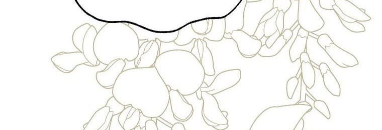 xin hãy kết hôn với em chapter 36 9