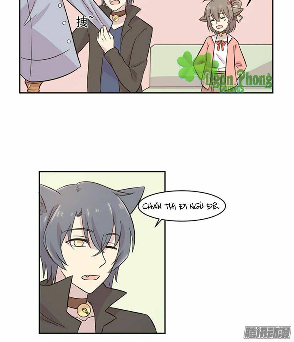 hai chú mèo totem chapter 21 13
