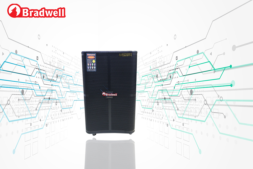 Loa Bluetooth best Bradwell BR9