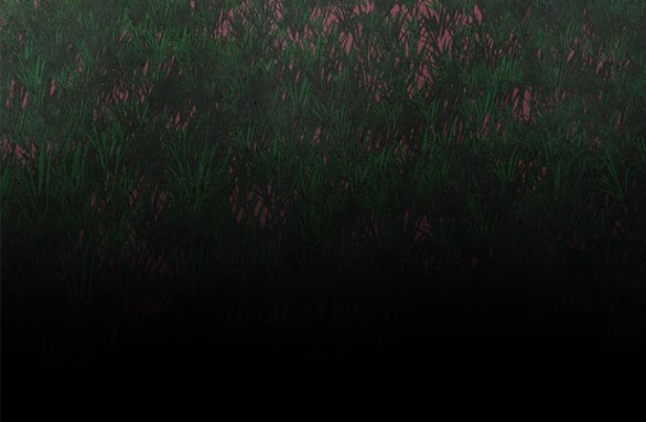 Cạm Bẫy chapter 180.2 48