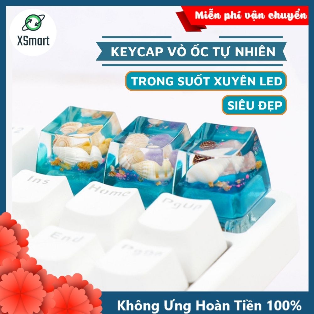 Keycap Nút Bàn Phím Ốc Đại Dương Tự Nhiên Thủ Công Cực Đẹp Nhựa Resin Trong Suốt Xuyên LED-Hàng Chính Hãng