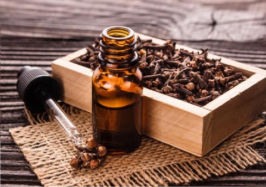 Tinh dầu Đinh hương 100ml nguyên chất từ thiên nhiên - Mộc Mây
