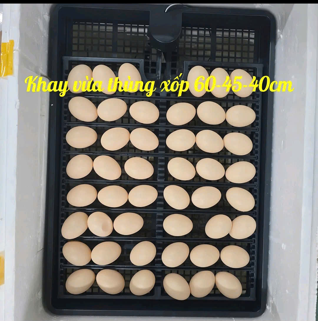 Khay đảo trứng kèm moto, để được tất cả các loại trứng, khay dùng cho các loại máy ấp có sẵn 2 dây nối khay hàng nhập khẩu
