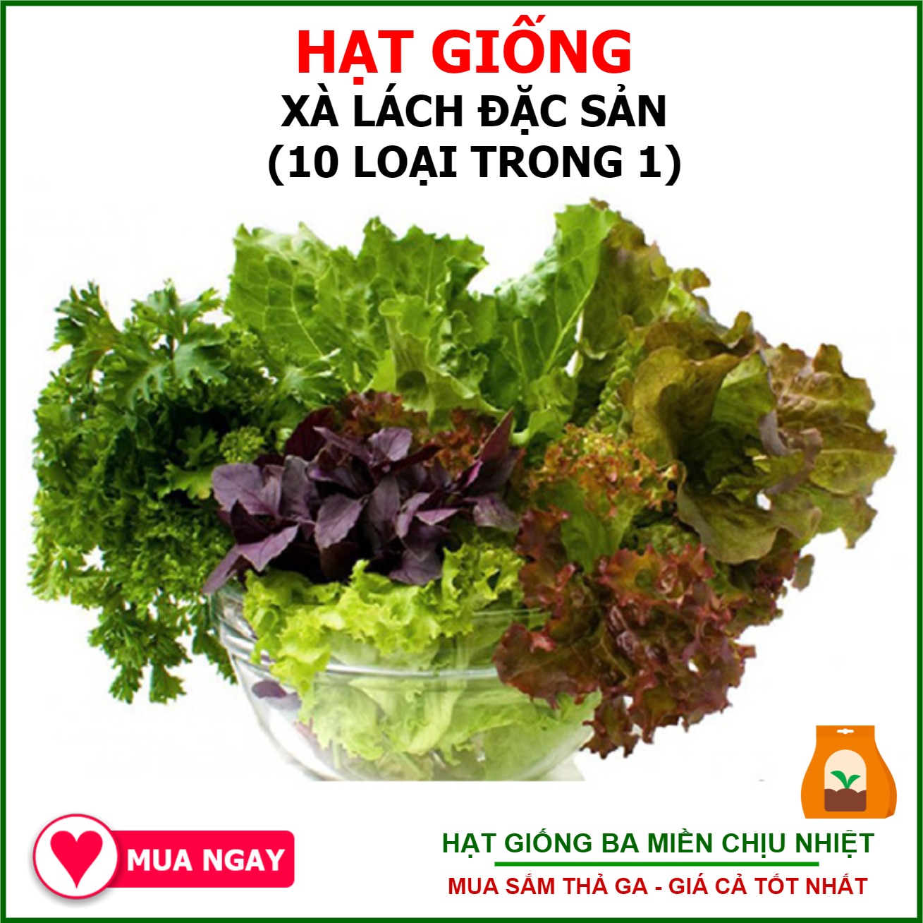 1500h Hạt Giống Xà Lách TG Mix Nhiều Loại