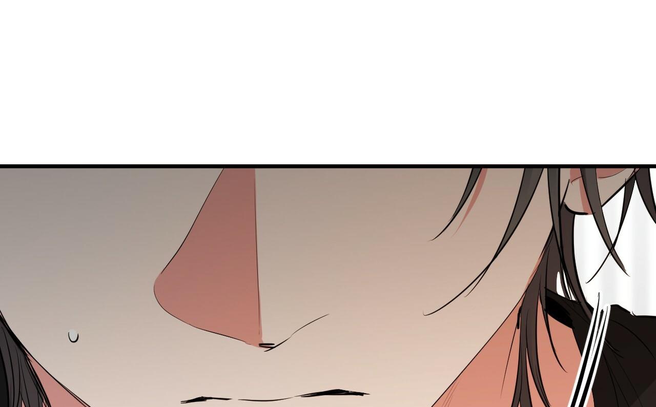 những chú thỏ của hapypy chapter 52 7