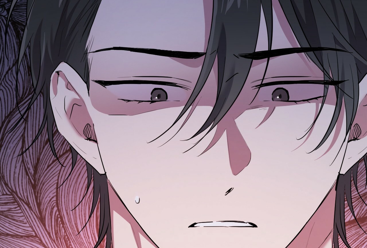 đàn thỏ của habibi chapter 16 6