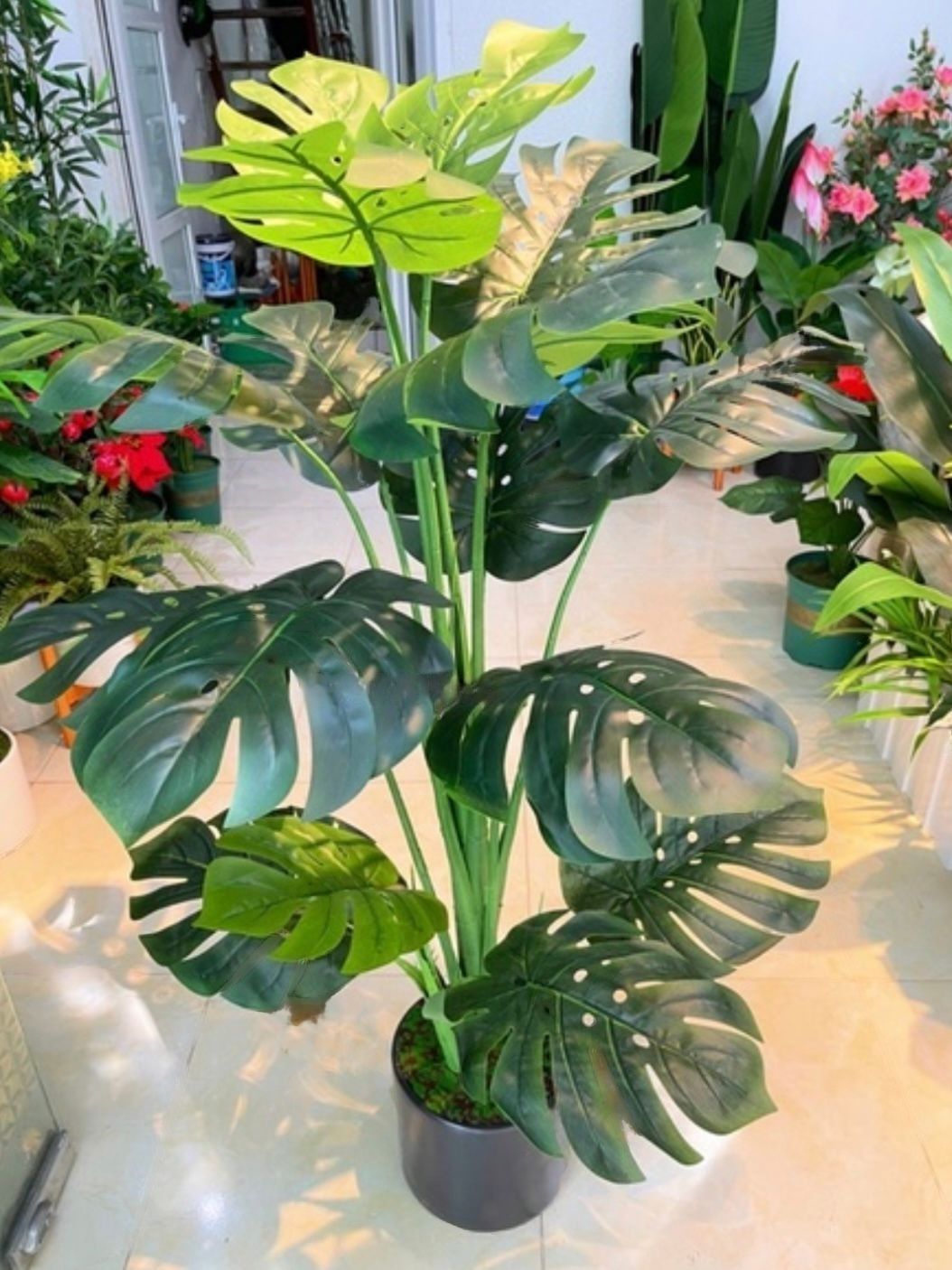 Cây giả – Cây trầu bà lá xẻ nam mỹ monstera giả – Chậu gồm 3 nhánh 18 lá – Cao 130 cm – Cây lá rùa, lá rách – Cây nội thất giả, hoa lụa trang trí decor