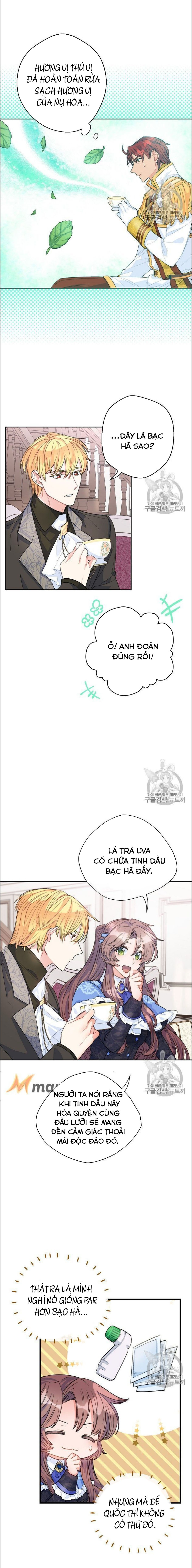 50 công thức pha trà của nữ công tước chapter 77 8