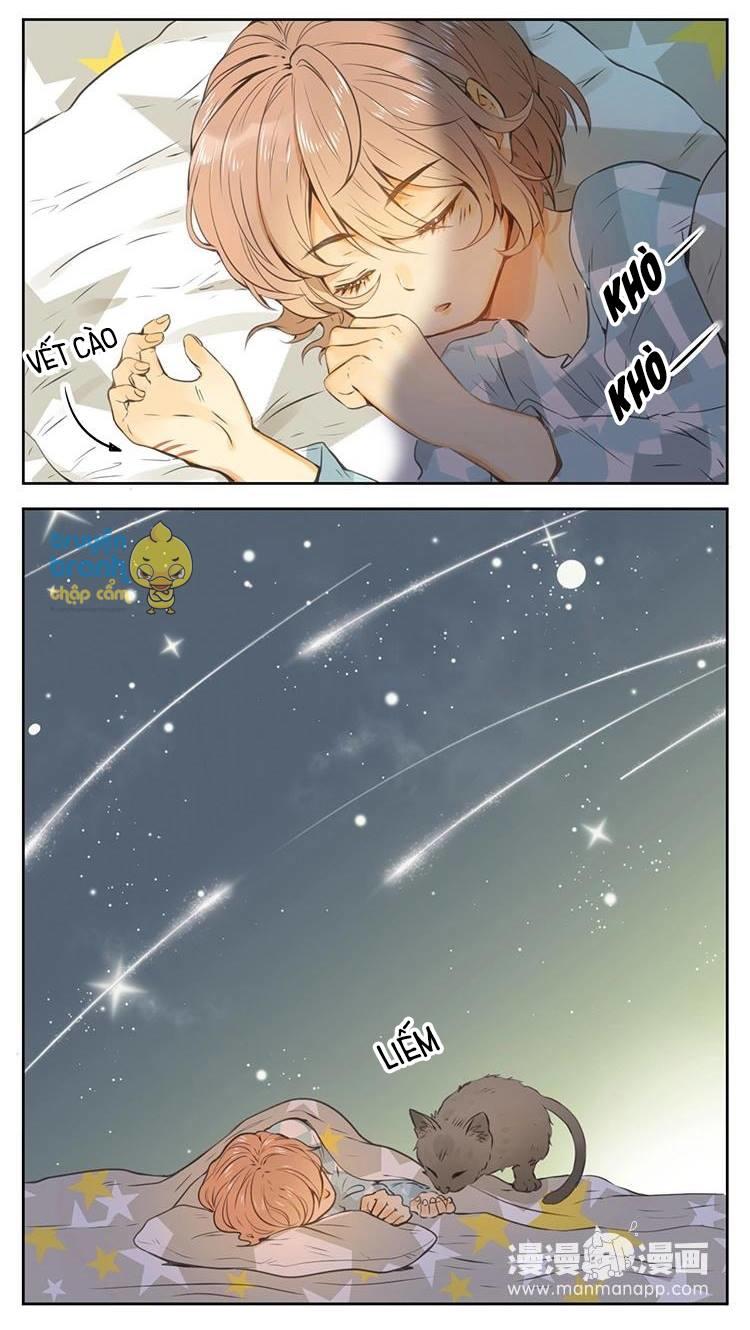 cứu mạng ! loài mèo thống trị thế giới rồi ! chapter 26 13