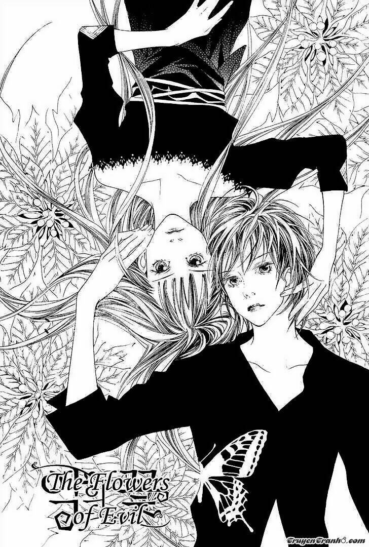 bông hoa của tội lỗi chapter 23 8