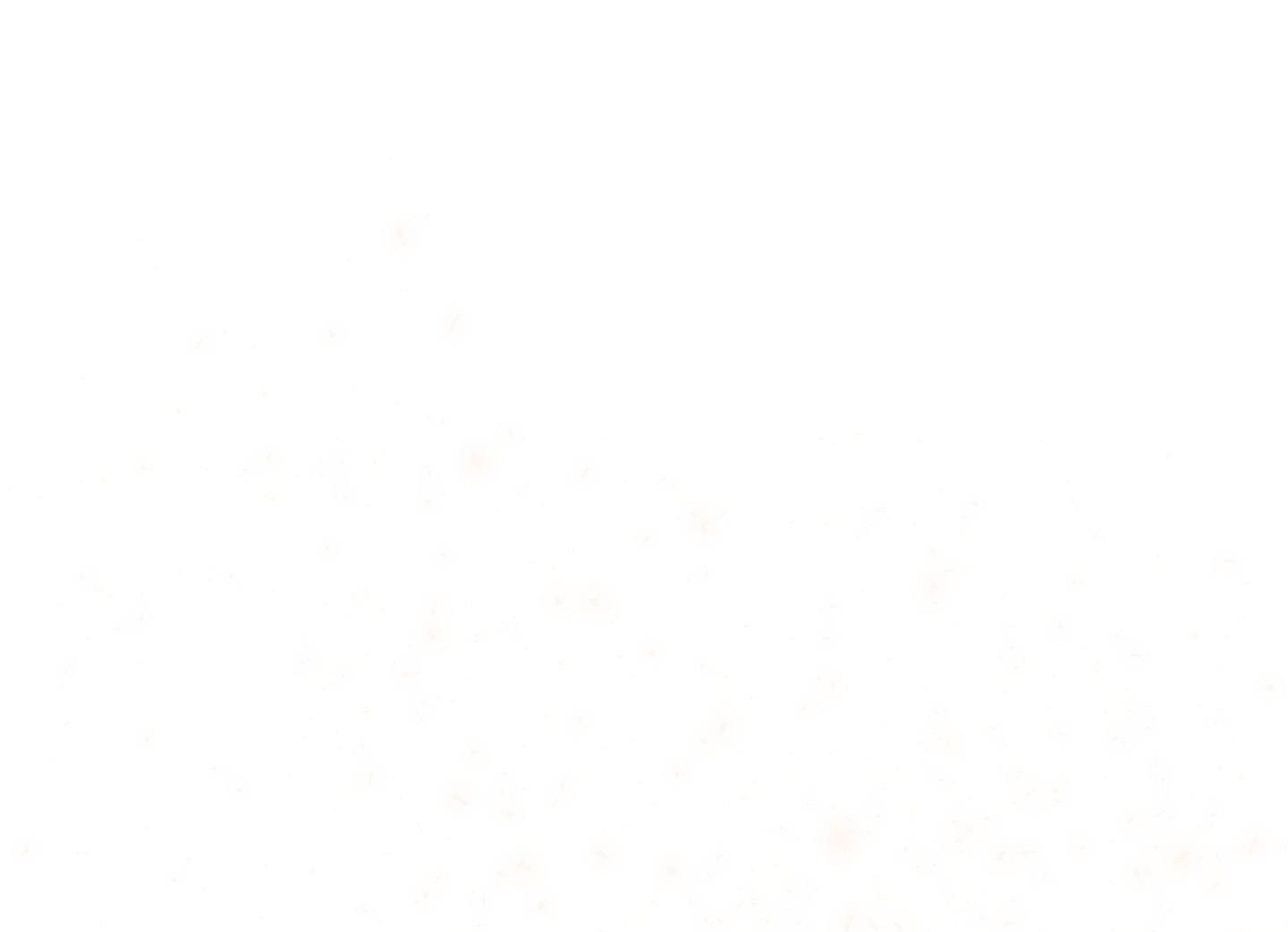 lãng mạn giả dối chapter 12 24