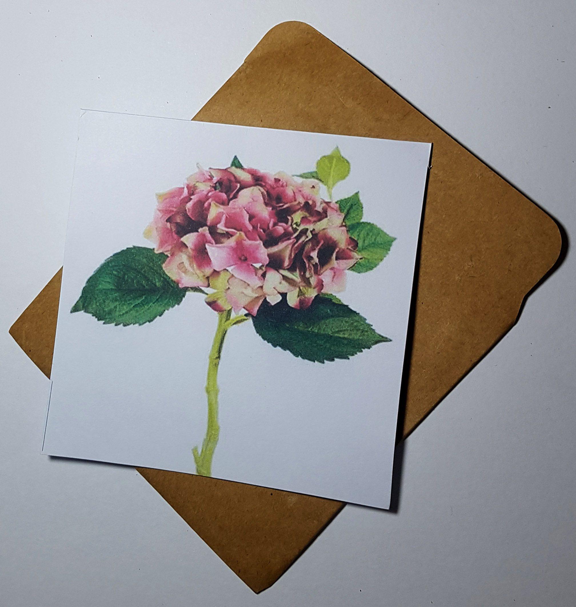 Thiệp phong cách Vintage card quà cám ơn ,chúc mừng sinh nhật và giử tặng người thân yêu