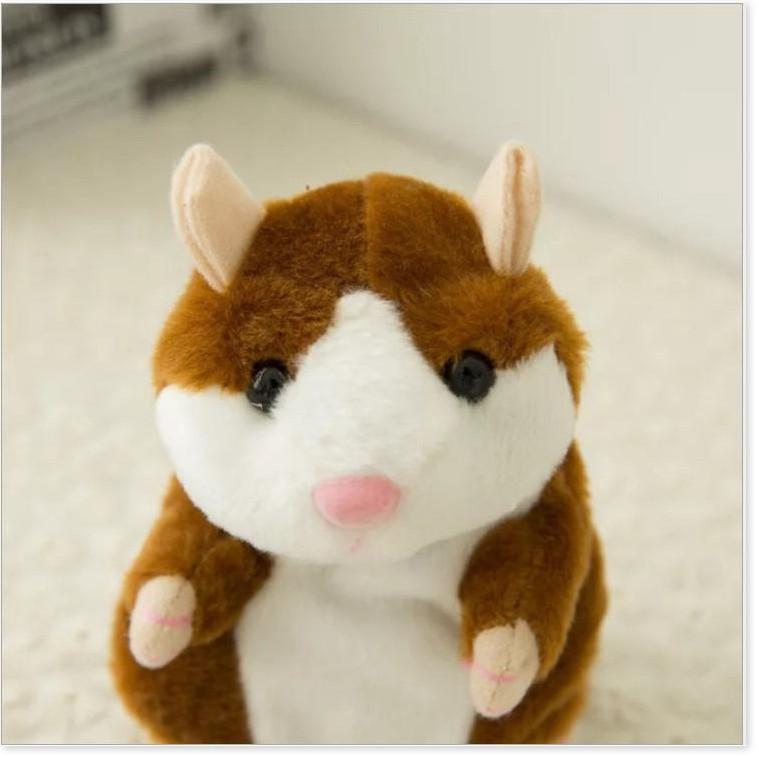 Chú chuột Hamster bắt chước theo tiếng nói