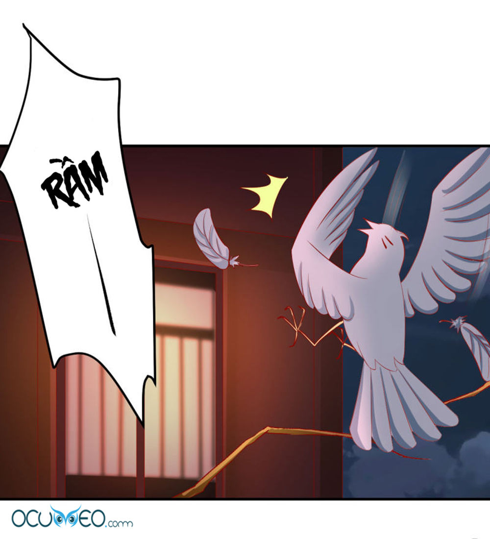 từ đây vương gia không thượng triều sớm chapter 56 12