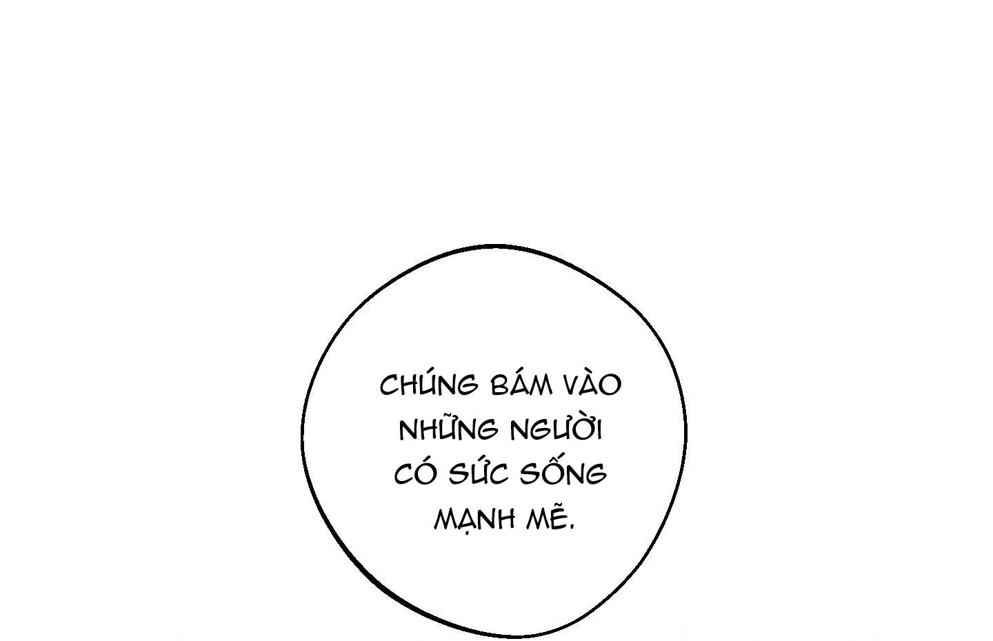 TIẾNG XUÂN VỀ chapter 3