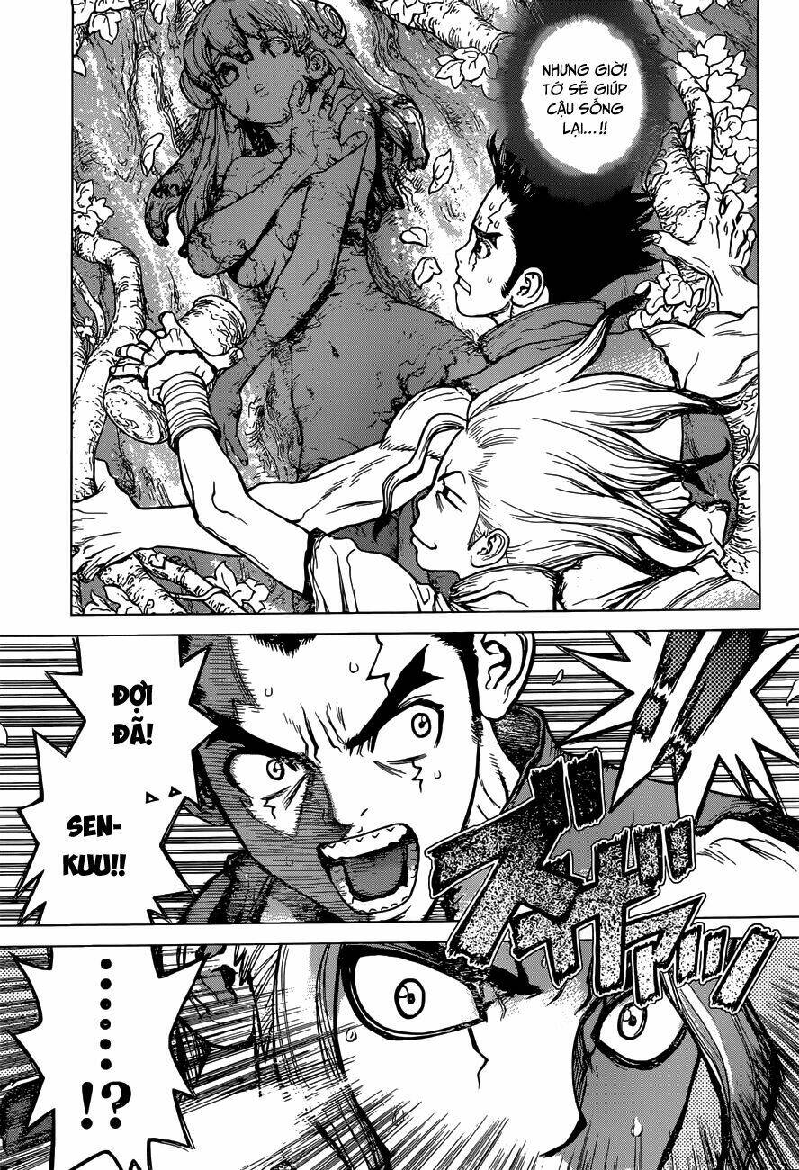 dr.stone - hồi sinh thế giới chapter 3 5