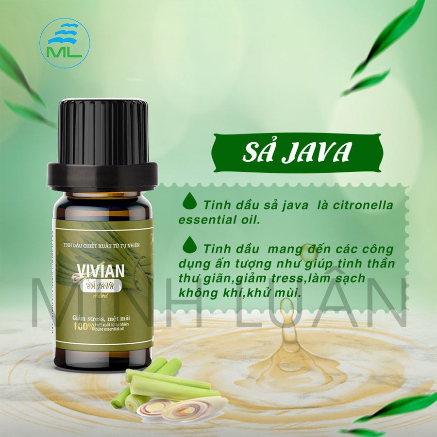 Tinh dầu sả Java thiên nhiên Vivian có kiểm định chất lượng