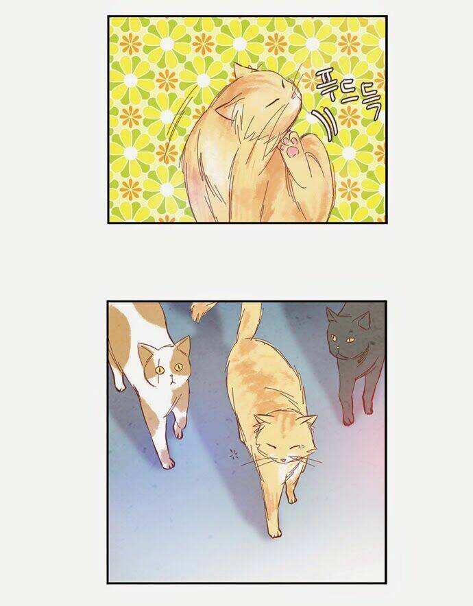 evergreen tea chapter 8 14