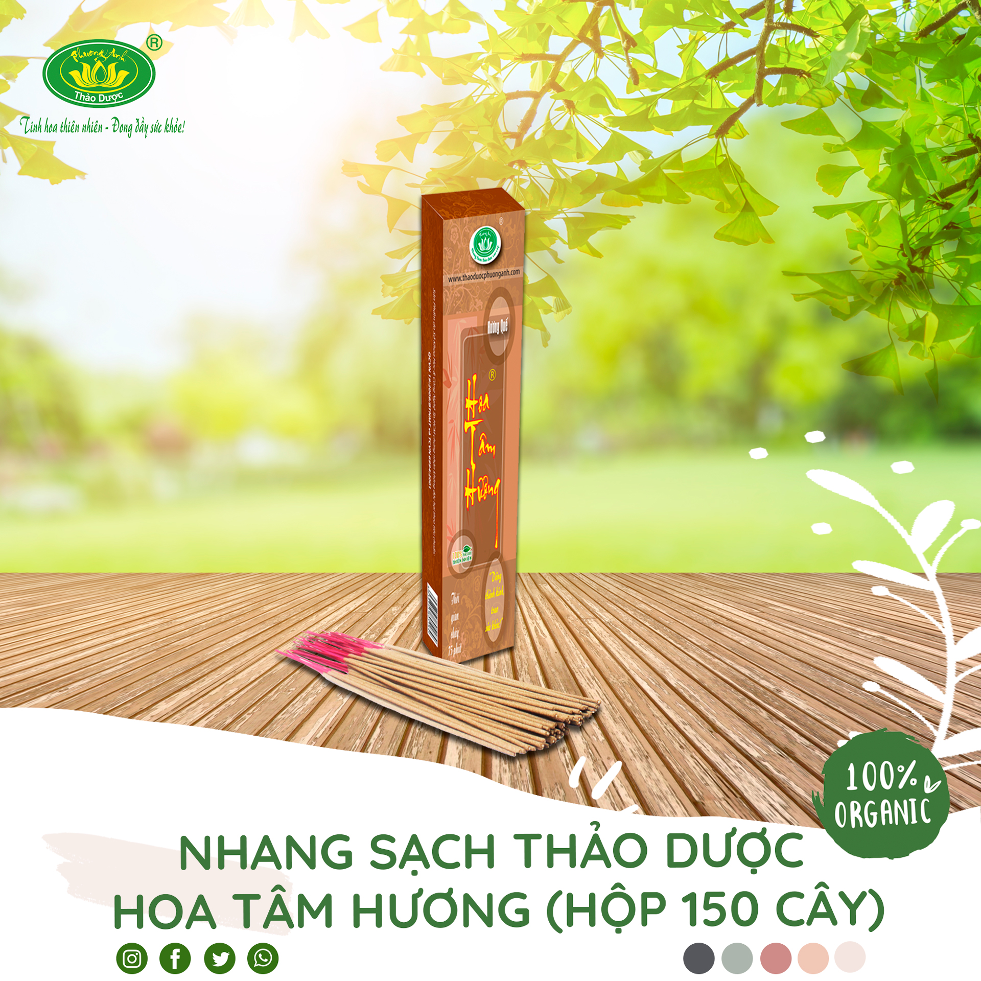 Nhang sạch thảo dược Hoa Tâm Hương 3 tấc thời gian cháy 75 phút