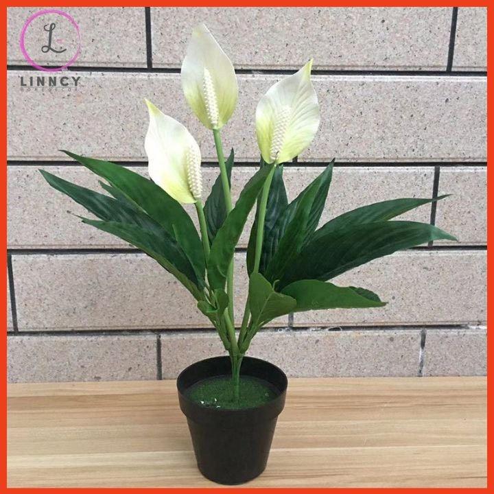 Chậu Hoa Để Bàn Bình Hoa Lan Ý Sang Trọng Cao 47cm Trang Trí Phòng Khách Cửa Hàng Văn Phòng