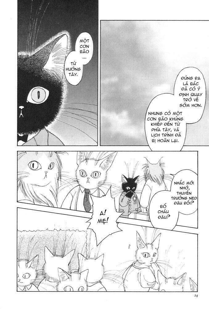 bernie's drawing diary chapter 1 22