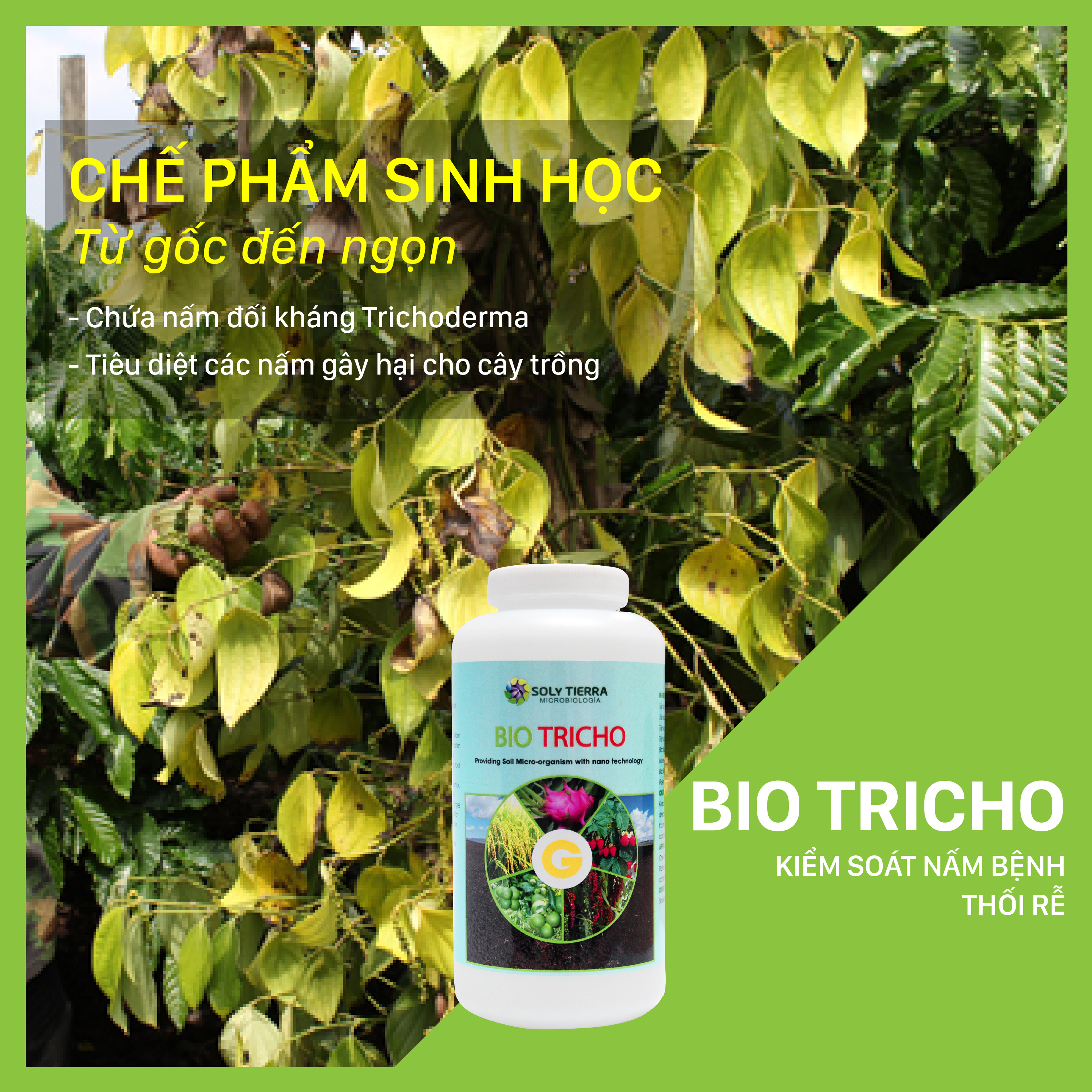 Vi sinh phòng trừ nấm tấn công gây thối bộ rễ Bio Tricho - NSX Sun &amp; Earth Microbiology  - Chai 1 quarter (≈ 1 lít)