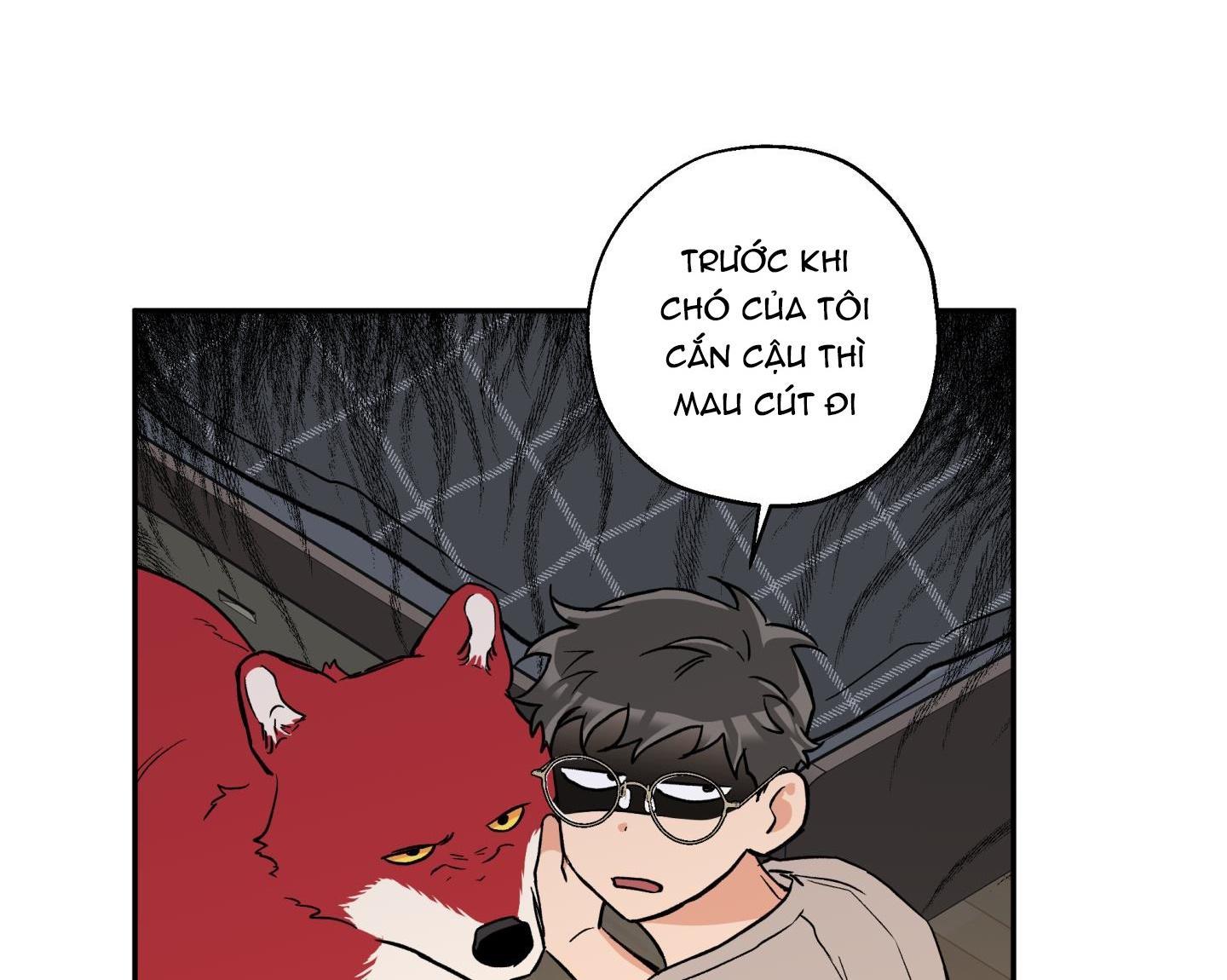 gâu gâu! chapter 43 97