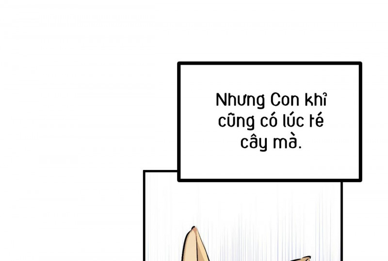 những chú thỏ của hapypy chapter 32.5 66