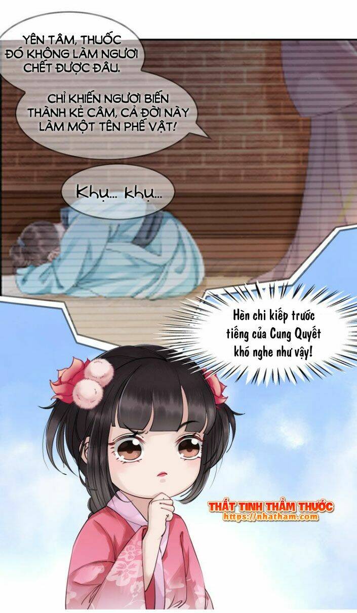 trọng sinh bá sủng nhiếp chính vương quá mạnh mẽ chapter 2 7