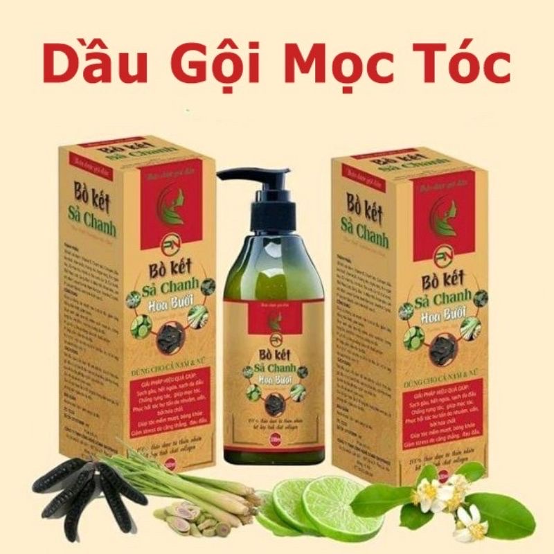 Dầu gội bồ kết sả chanh ,hoa bưởi chai 300ml ngăn ngừa gàu ,giảm rụng tóc tinh chất collagen dùng cho cả nam và nữ