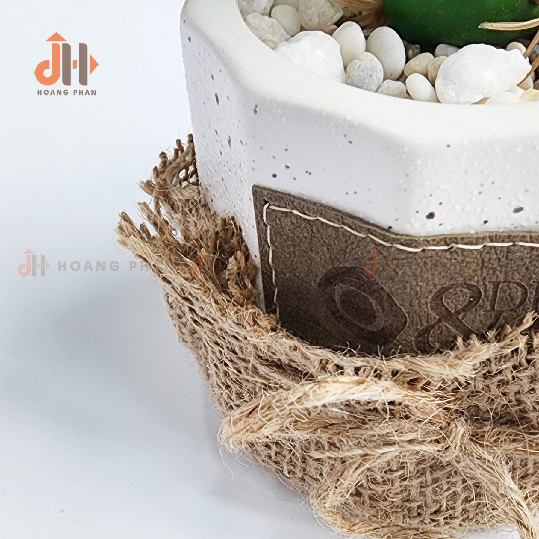 Trụ xương rồng lục giác vĩnh cửu trang trí