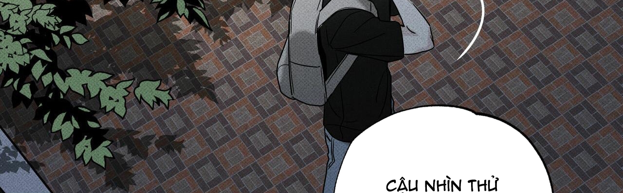 chàng giao pizza và gold palace chapter 24 263